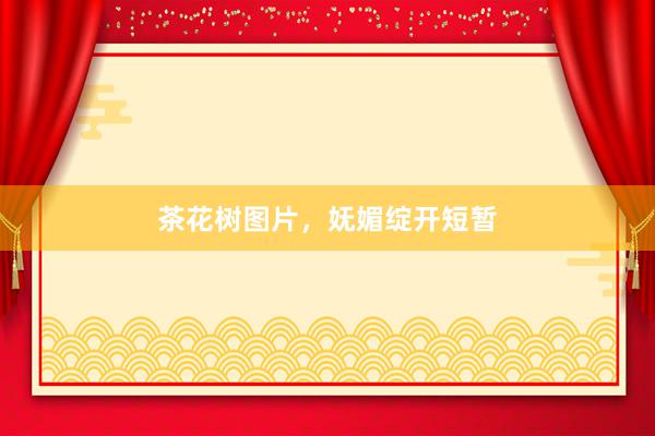 茶花树图片,妩媚绽开短暂