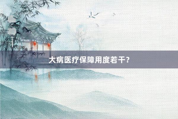大病医疗保障用度若干？