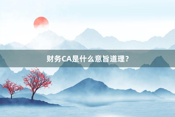 财务CA是什么意旨道理？